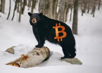bitcoin bear