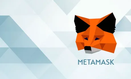 download the metamask extension