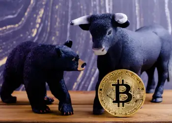 Spot the Difference: Bitcoin Bulls Versus Bitcoin Bears