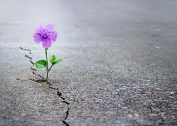 Hopes for Bitcoin as China’s Renminbi Drops to 11-Year Low