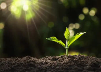 Bitcoin Price Close Above $10,700 Could BTC Flying; Here’s Why