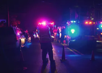 link cryptocurrency flash crash