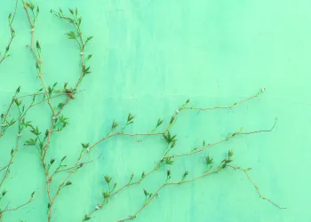 XRP Flashing Hints of Bullishness Despite Laggard Performance