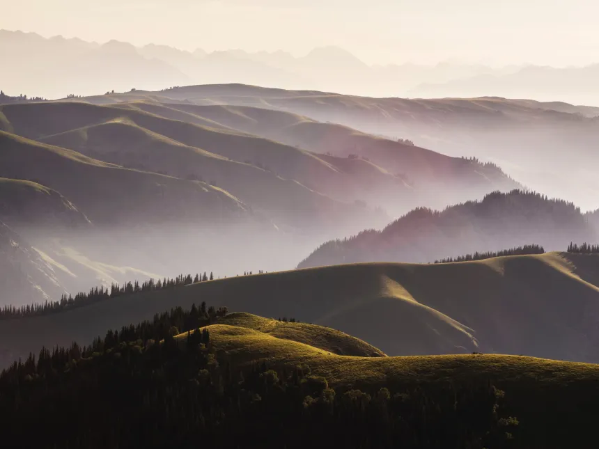 bitcoin price featured image