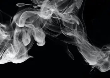 Here’s Why Altcoins Won’t Gain Dominance Over Crypto Market Anytime Soon