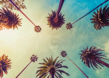 Bitcoin price jp morgan