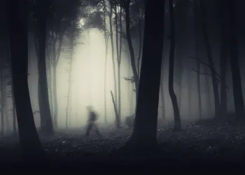 Cardano Shakes the Ghost of Disappointment With Confirmed Shelley Release Date