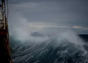 Chainlink (LINK) Stays Afloat Despite Crypto Correction, But Not for Long