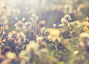 Bitcoin warren davidson