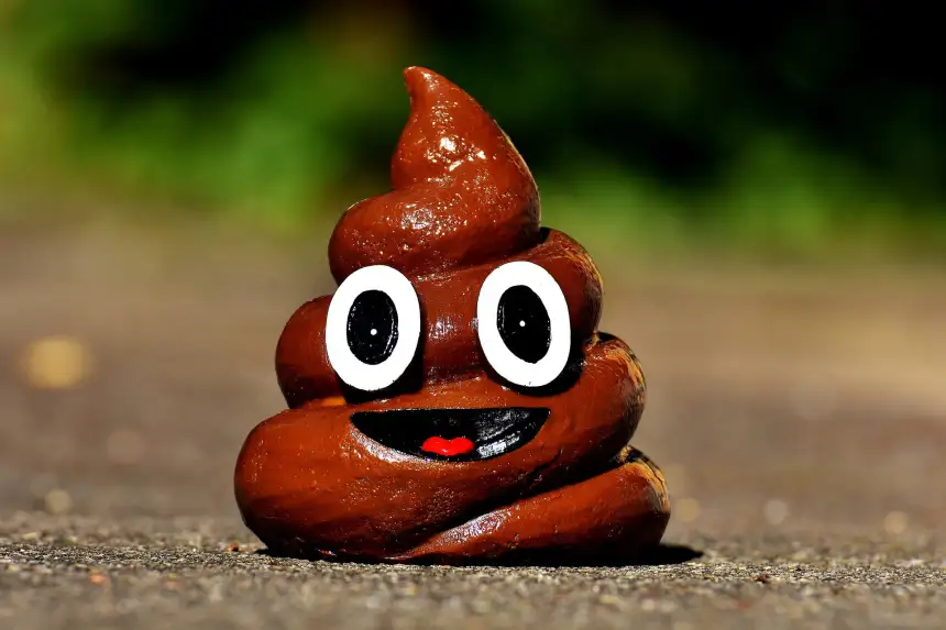 xrp shitcoin sheep manure