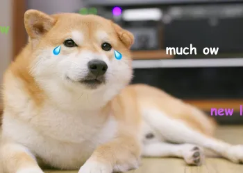 dogecoin crypto altcoin bitcoin btc doge