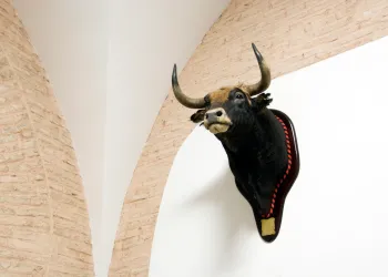 bitcoin ethereum bulls bullish bull