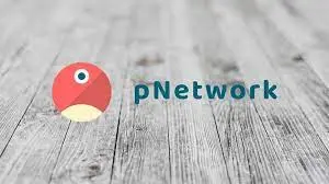 pNetwork