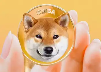 Picture of a hand holding a Shiba Inu coin
