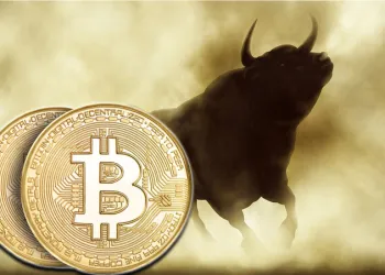 bitcoin bull run