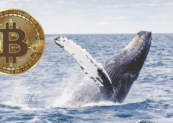 Bitcoin whale FTX