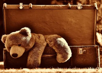 Bear market, a stuffed bear inside a wooden chest
