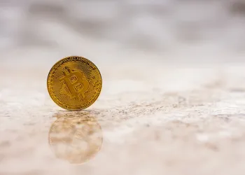 Whale Addresses Push Bitcoin To Surge, What Happens Now?