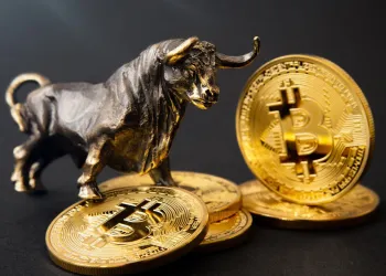 Bitcoin Bulls