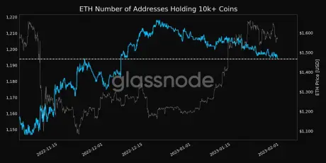 BTC Amount of Supply Last Active 3y 5y