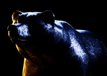 Dogecoin WIF DogWifHat