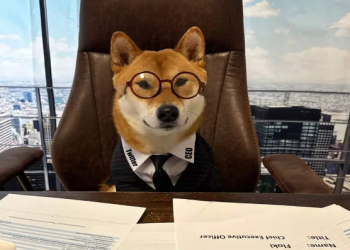 DOGE CEO