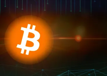 Bitcoin Wholecoiners