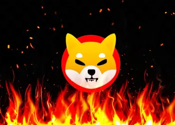 SHIB burn