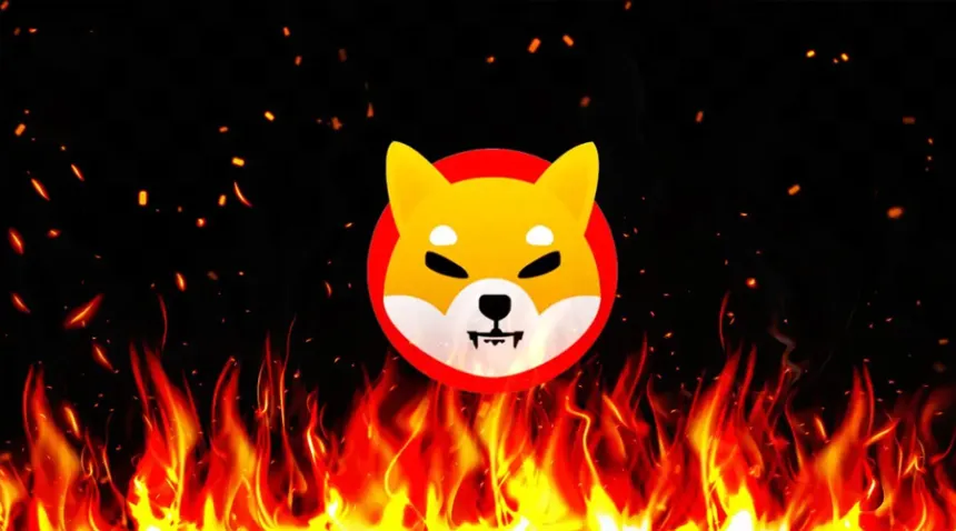 SHIB burn
