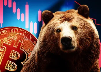 Bitcoin bear
