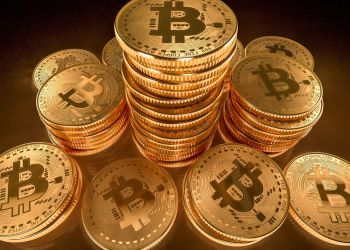 Bitcoin HODLers Not Selling, Will Number Break Record Highs?