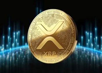 XRP whale