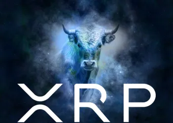 XRP price bull
