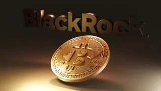BlackRock Spot Bitcoin ETF