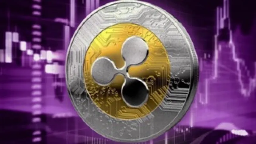 XRP Small