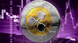XRP Small