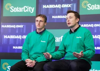 Lyndon Rive Elon Musk Solana