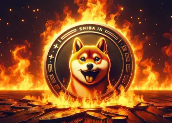 Shiba Inu SHIB burn