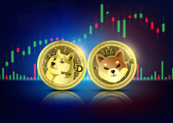 Shiba Inu vs Dogecoin