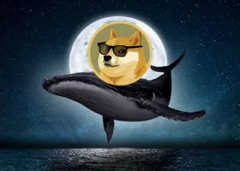 Dogecoin whale