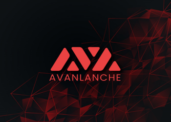 Avalanche network