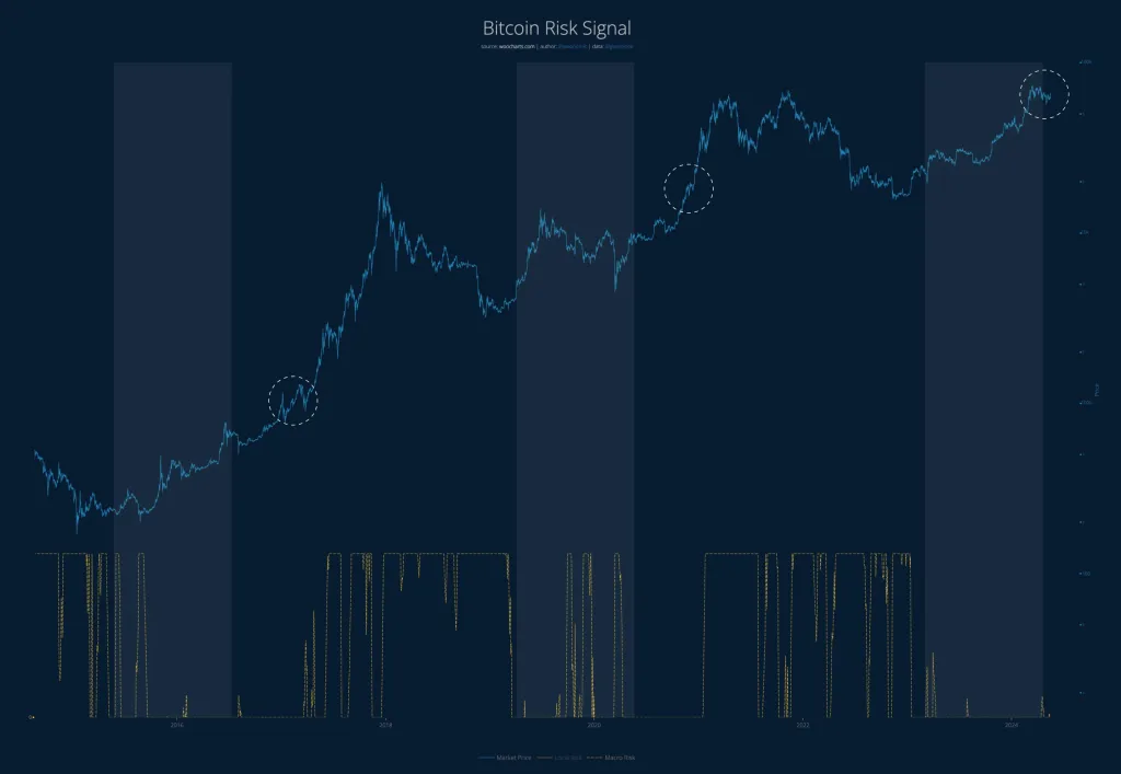Bitcoin risk signal | Source: @woonomic on X