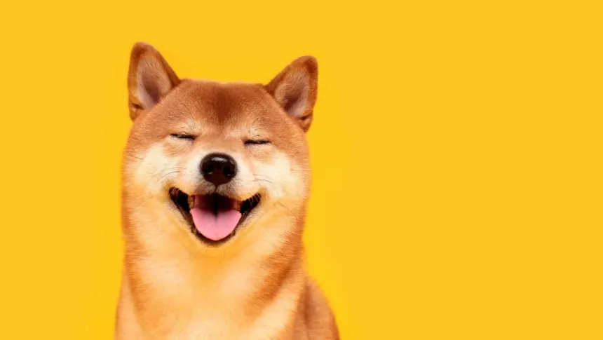 Dogecoin