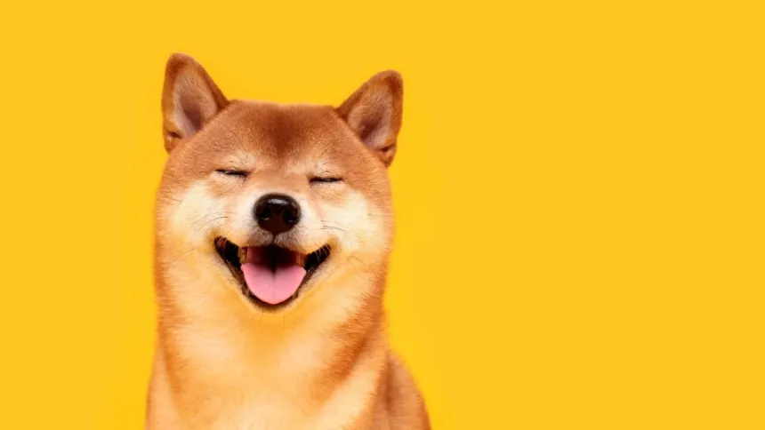 Dogecoin