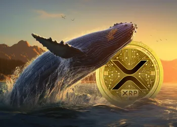 XRP whale