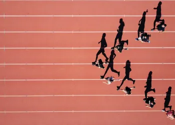 XRP, SEI, dogwifhat, WIF, Celestia, Solana, tron, BNB, chainlink