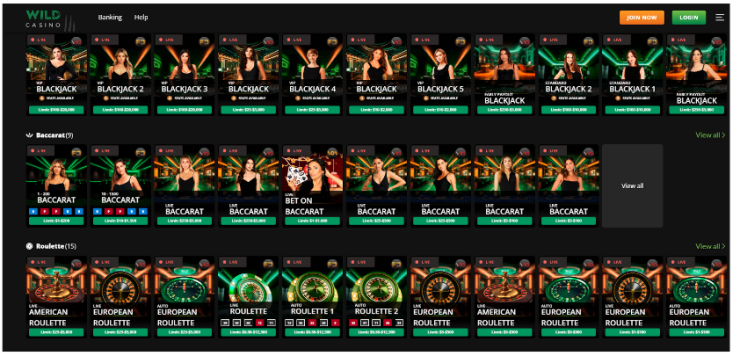 screenshot of wild casino - best new live casinos