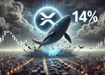 XRP Whale