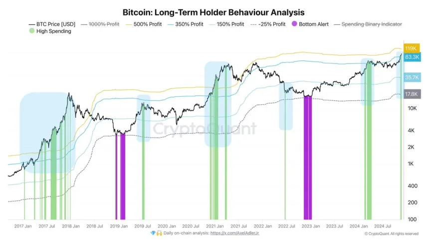Análisis del comportamiento de los LTH de Bitcoin 