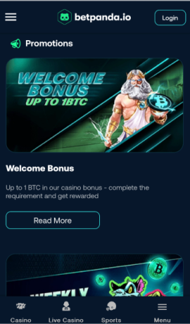 BetPanda welcome offer